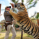 Illustration for article titled Netflix announces Tiger King after-show, hosted by Joel McHale